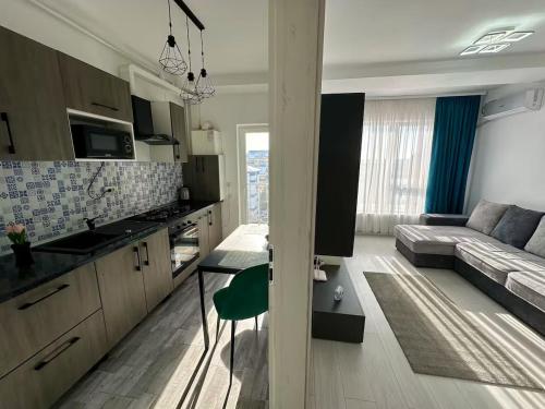 RoşuにあるMT Residential Studioのソファとテーブルのあるキッチンとリビングルーム