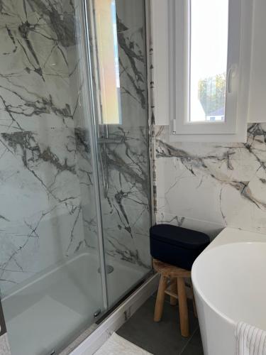 ein Badezimmer mit Dusche, Toilette und Waschbecken in der Unterkunft Location d un étage d une maison in Savigné-lʼÉvêque