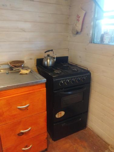 a stove in a kitchen with a tea kettle on it at Cabaña La Florencia Domselaar in Domselaar