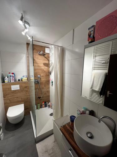 NiederdorlaにあるZentrale Wohnungのシャワー、トイレ、洗面台を備えたバスルーム