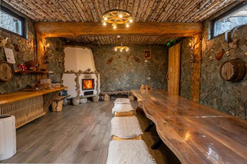 Ảnh trong thư viện ảnh của Bârlogul Vikingilor ở Şotrile