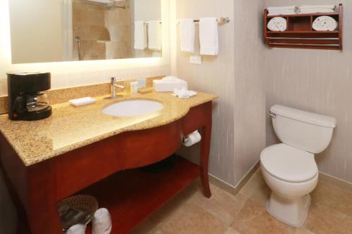 a bathroom with a sink and a toilet and a mirror at Hampton by Hilton Chihuahua in Chihuahua