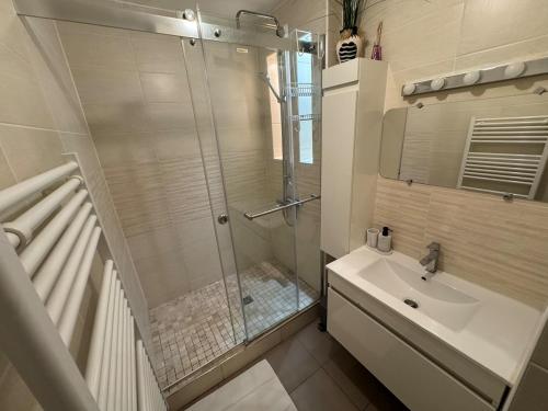a bathroom with a shower and a sink at Appartement lumineux centre in Beauvais
