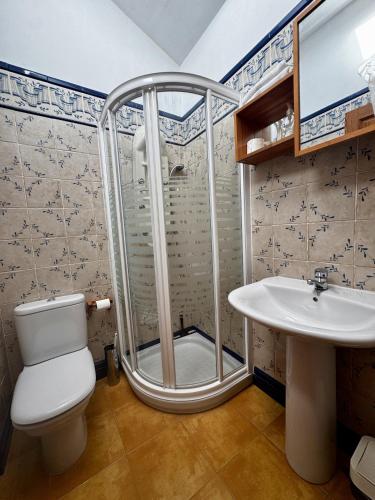 a bathroom with a shower and a toilet and a sink at Apartamentos rurales FlordeLinto in La Cárcoba