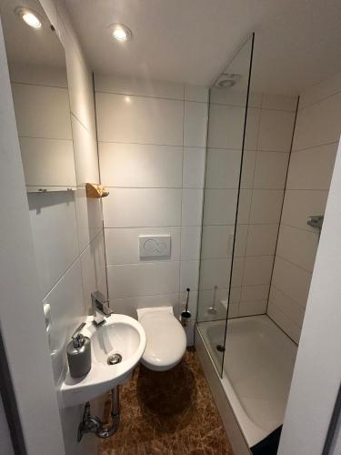 a bathroom with a toilet and a sink and a shower at Das Gerhards in Wolfhagen