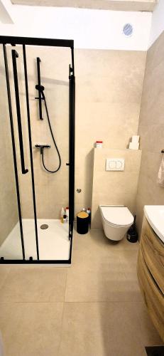 a bathroom with a shower and a toilet at House Lantina Kornati in Kravljačica