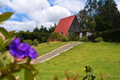 O grădină în afara El valle Muisca