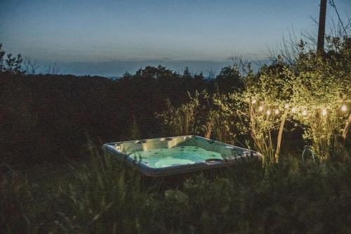 a bath tub sitting in the grass in a field at Forrest House in Doboj