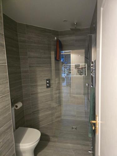 a bathroom with a shower with a toilet and a sink at Deers view in South Marston
