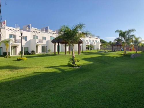 a palm tree in the middle of a green field at Residence in Cuautla 