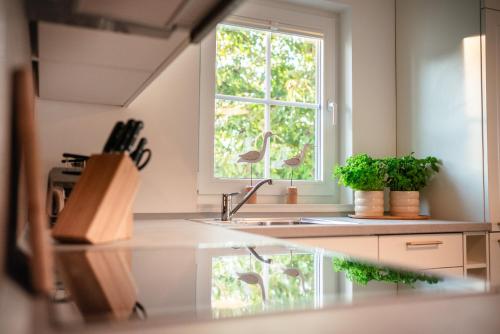 Φωτογραφία από το άλμπουμ του Ferienhaus Strandgold σε Kühlungsborn