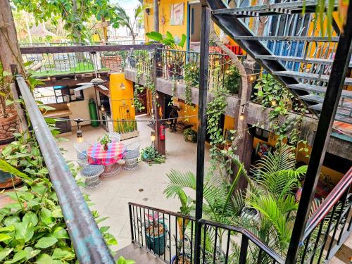 Cabo Inn tesisinin dışında bir bahçe