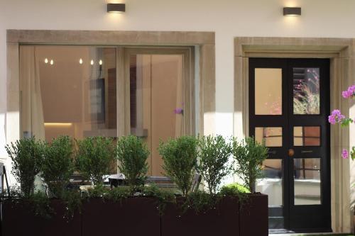 Luxury Space Michelangelo