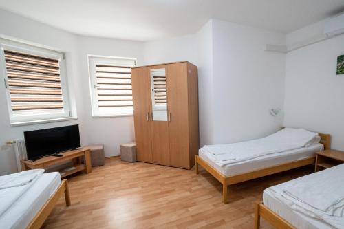 a room with two beds and a television in it at Zlatni San in Banja Koviljača