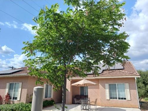 a house with a tree and a table and an umbrella at The Gathering Spot-6 miles from Sequoia Nlt'l Park in Three Rivers