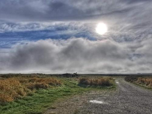 Gallery image of 6 person holiday home in Ålbæk in Ålbæk