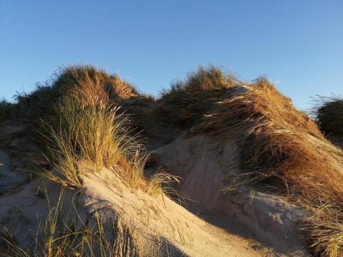 a pile of grass on top of a sand hill at 5 star holiday home in Ringkøbing in Klegod