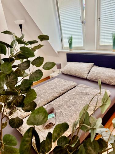 a room with a bed and a potted plant at Helle Ferienwohnung in Leipzig! No3 in Leipzig