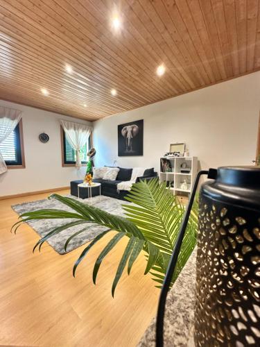 Foto Ferreiros Home 5