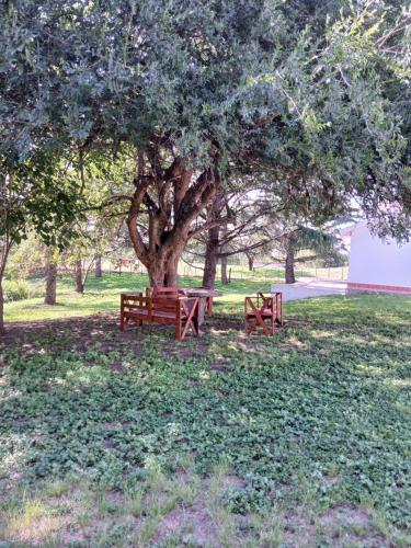 Gallery image of El morenito in La Granja