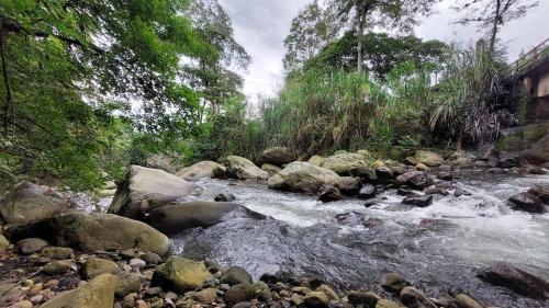 a stream of water with rocks and trees at Chalet Gardel in San Francisco