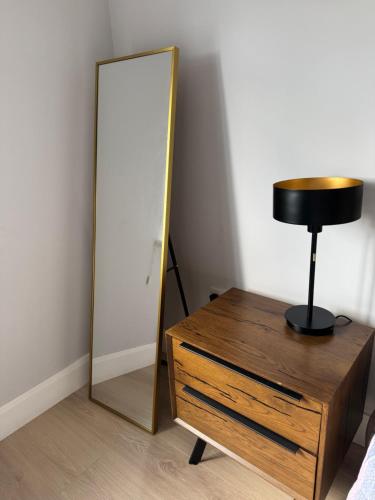 a mirror next to a dresser and a table with a lamp at Large bedroom near to the center in Cork