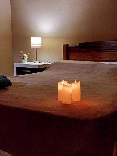 a bedroom with a large bed with two lights on it at Serendipia in Oberá