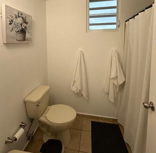 a bathroom with a toilet and a window at Burungos Place at Humacao, PR in Humacao