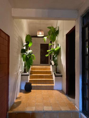 Kép Casa Yohual szállásáról Cuetzalán del Progresóban a galériában