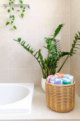 a basket of toiletries on a bathroom counter with a plant at Stylish and perfectly located Bondi Beach hideaway in Sydney