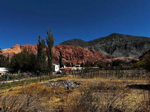 Příroda nedaleko apartmánu