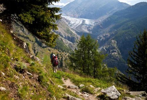 a person walking down a trail on a mountain at Studio Bel-Hüs / Bel-Häx in Blatten bei Naters