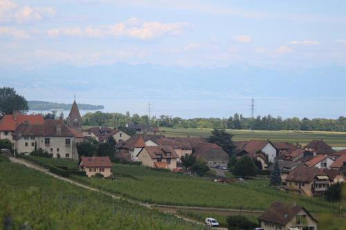 a village in the middle of a green field at Au cœur du vignoble sur Bursins in Bursins