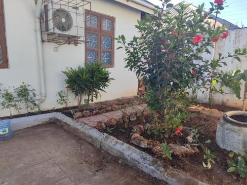 Κήπος έξω από το Kwa Mzungu Villa
