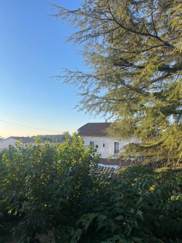 Φυσικό τοπίο κοντά σε αυτό το bed & breakfast