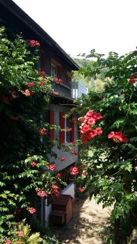 a house with flowers on the side of it at Cèdres Bleus de Joany chez Nathalie in Viviez