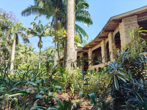 Garden of Eden Cottages and Guest House