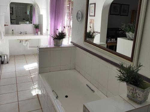 a bathroom with a tub and a large mirror at Garden of Eden Cottages and Guest House in Mbabane