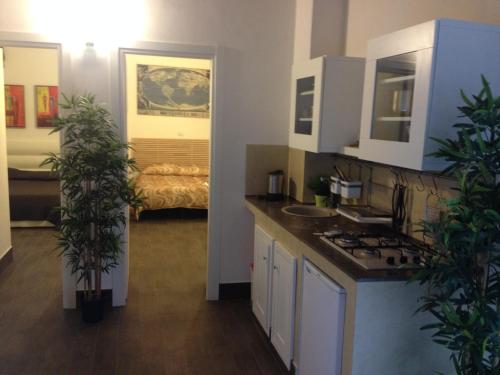 シラクーサにあるGlobe Trotter Apartmentのキッチン(シンク付)、植物の入ったカウンター