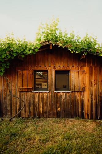a wooden building with a window and vines at La Fournière de Jean - La Téouleyre in Saint-Julien-en-Born