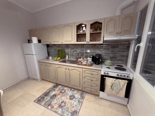 a kitchen with a stove and a sink and a refrigerator at Delmare Lake view house in Kastoria