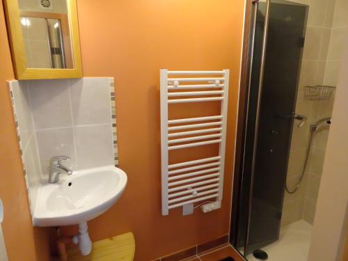 a bathroom with a sink and a shower at Gîte La Bonnetière in Ballan-Miré