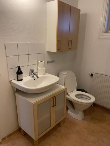 a bathroom with a sink and a toilet at Entire 4 rooms Cozy apartment in central Älmhult in Älmhult