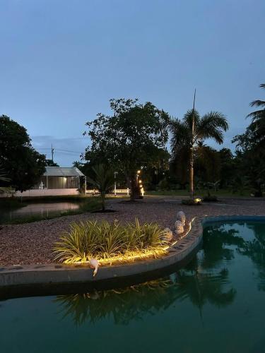 a pool of water with plants in a yard at Netnatee Amphawa in Ban Plai Khlong Om