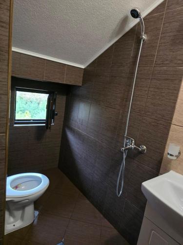 a bathroom with a shower and a toilet at Стаи за гости Дани in Zlatograd