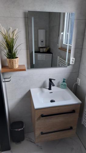 a bathroom with a sink and a mirror at Fennies Hütte in Medebach