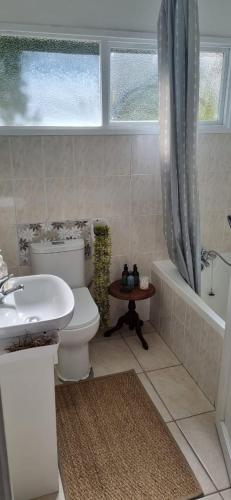 a bathroom with a toilet and a tub and a sink at Dinky's Place in Herolds Bay