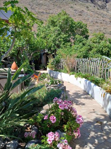 Κήπος έξω από το El jardin de Valle de Guimar