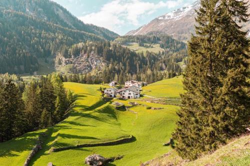 a house on a hill in a green field at Sunny, rustical 5 room cottage in Valposchiavo in Poschiavo