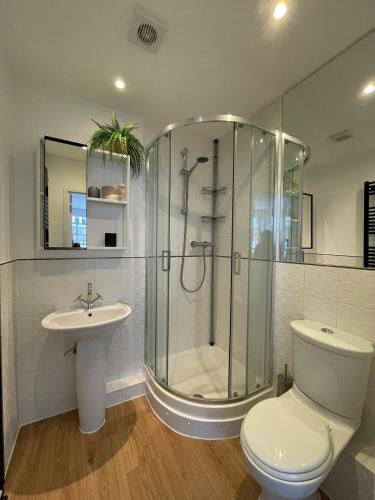 a bathroom with a shower and a toilet and a sink at Luxury City Centre Apartment, Winchester in Winchester